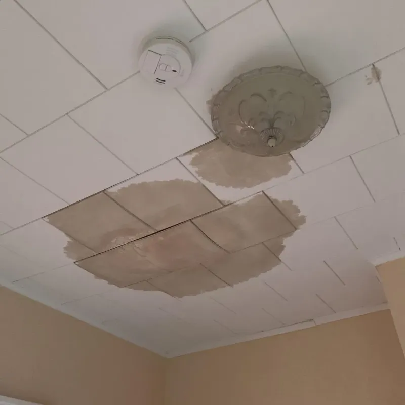 Ceiling Water Damage Repair in Killdeer, ND