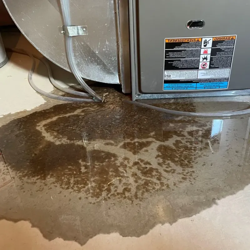 Pipe Burst and Leak Restoration in Killdeer, ND