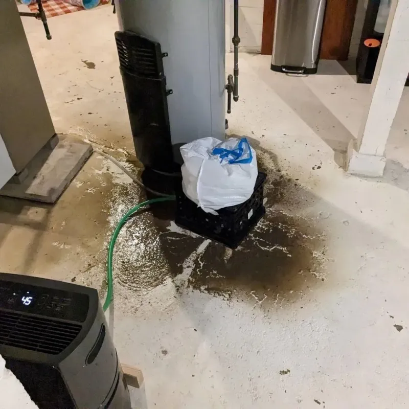 Sewage Backup Cleanup Service in Killdeer, ND